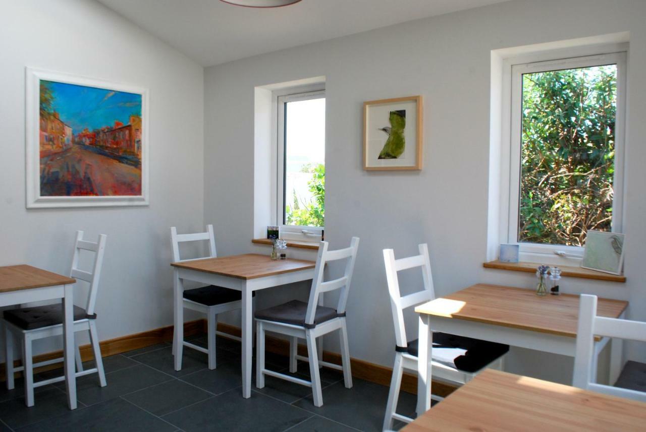Ty Boia Bed & Breakfast St. Davids  Kültér fotó